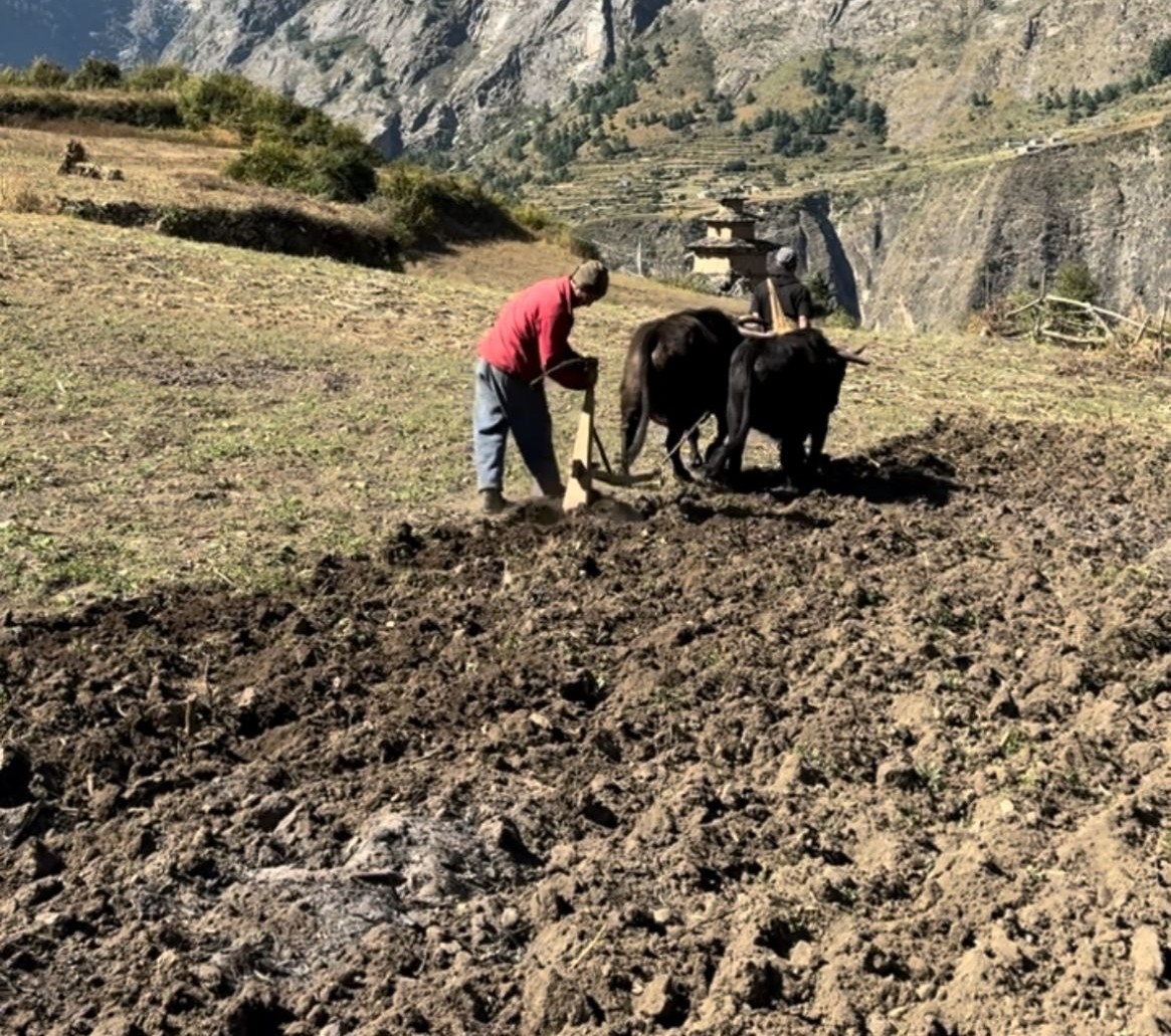 Building High Mountain Local Capacity in Technology Repair and Maintenance Training in Nubri Valley, Nepal